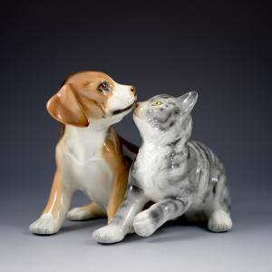 Hund mit Katze